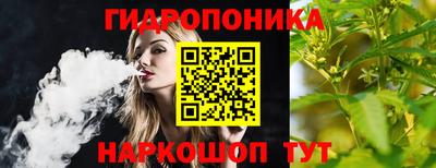 наркотики Сланцы
