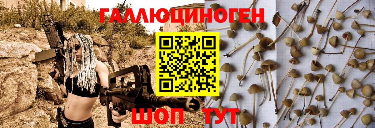 Псилоцибиновые грибы мухоморы Нурлат